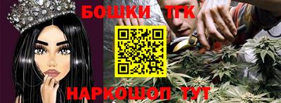 тгк Славгород